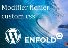 Modification du fichier custom.css dans Enfold