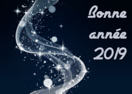 Bonne année 2019