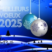 Meilleurs voeux - Best wishes 2025